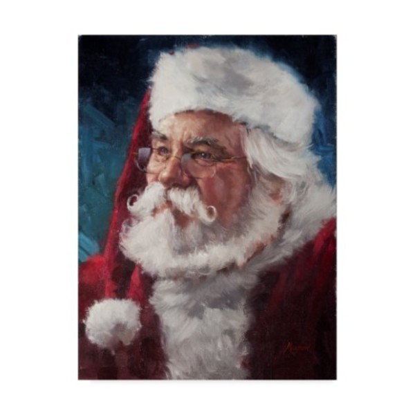 Trademark Fine Art Meadowpaint 'Elderly Santa Portrait' Canvas Art, 14x19 ALI43516-C1419GG